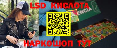 PSILOCYBIN Пугачёв